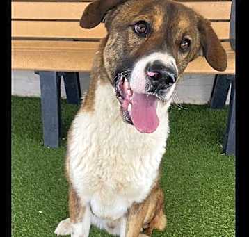 Photo of Clifford
