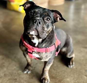 Photo of Lucy
