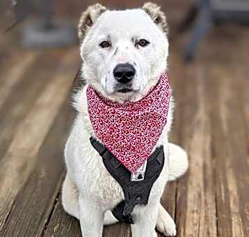 Photo of Sugar
