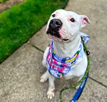Photo of Diva