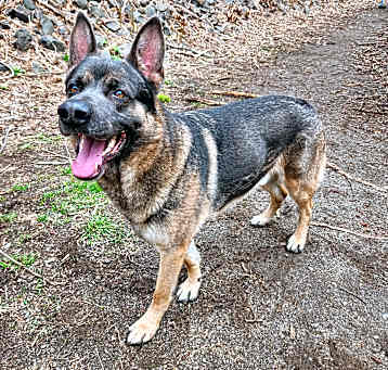 Photo of Kody
