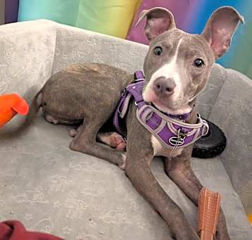 Photo of Monroe