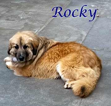 Photo of Rocky D25-064