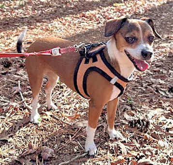 Photo of Chloe