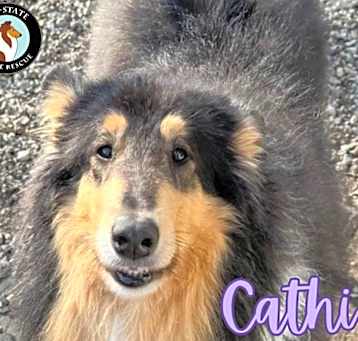 Photo of Cathi