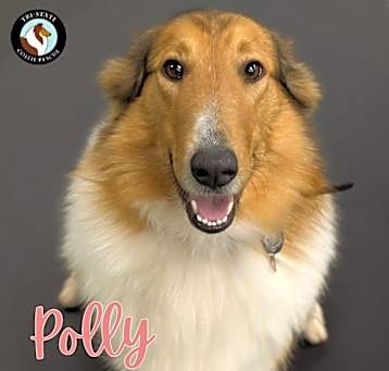 Photo of Polly