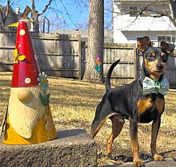 Photo of Flaco