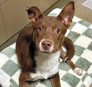 Photo of AIKO