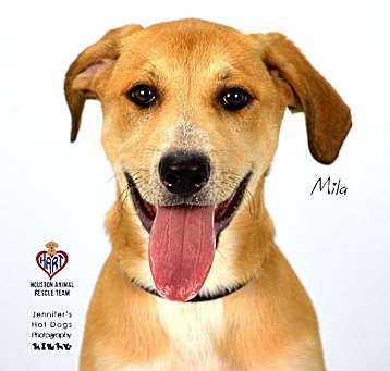 Photo of Mila