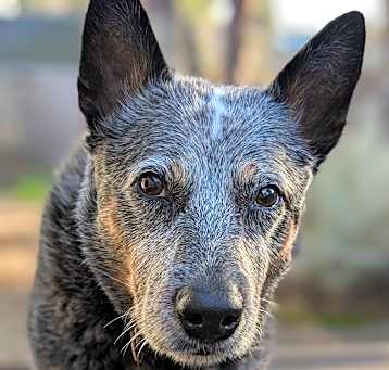 Photo of Chloe
