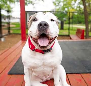 Photo of Sweetie