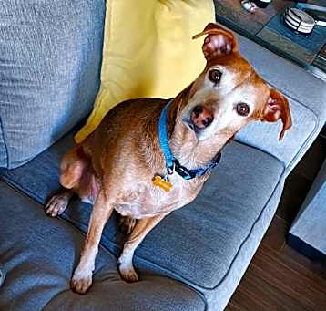 Photo of Moxie (Courtesy Listing)