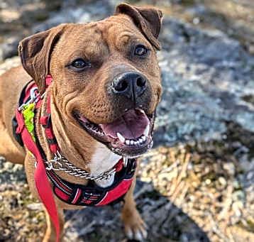 Photo of Chloe