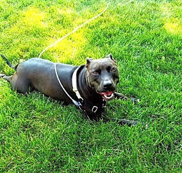 Photo of Roxy