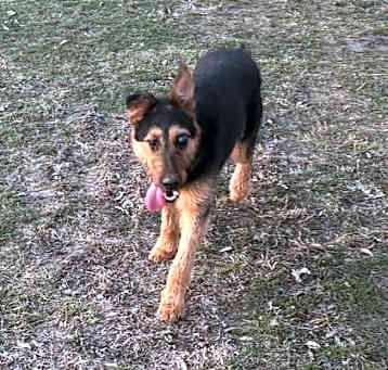 Photo of Willy