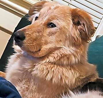 Photo of Kimchi