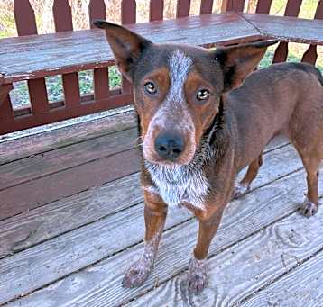 Photo of Mater