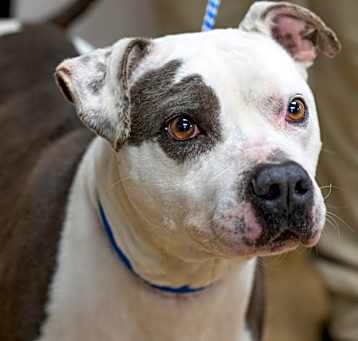Photo of STONEY-29502