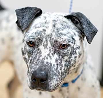 Photo of BONNIE-29175