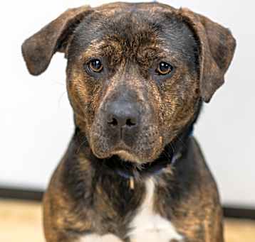 Photo of JOE-29568
