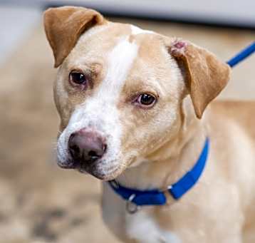Photo of LEO-29693
