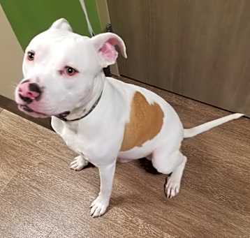 Photo of Oakley