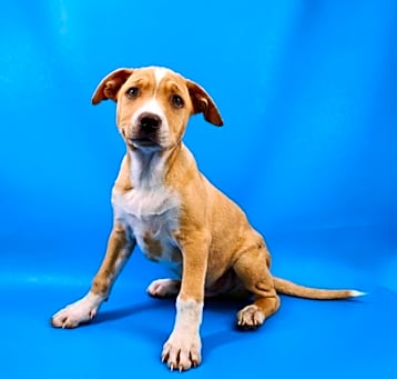 Photo of Deeter