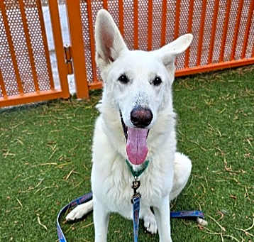 Photo of GHOST