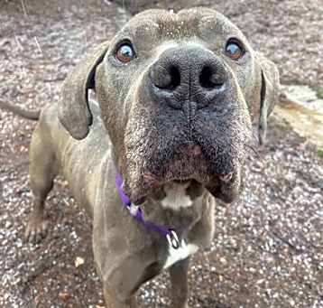 Photo of AZUL