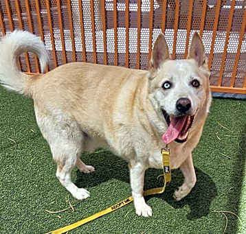 Photo of COSMO