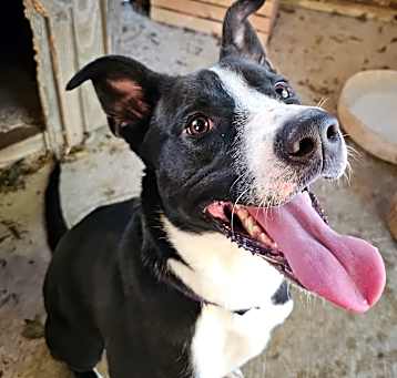 Photo of Xena