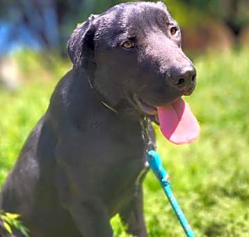 Photo of Maverick