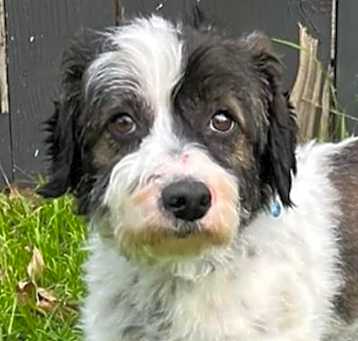 Photo of Hennesy