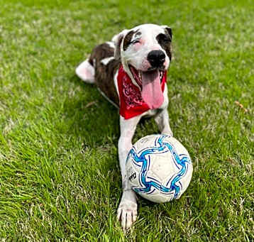 Photo of Benz