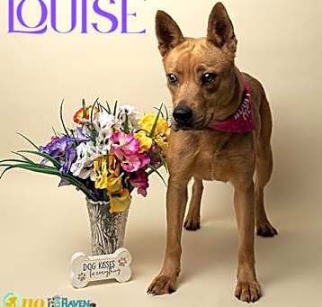 Photo of Louise