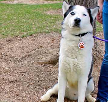 Photo of Togo