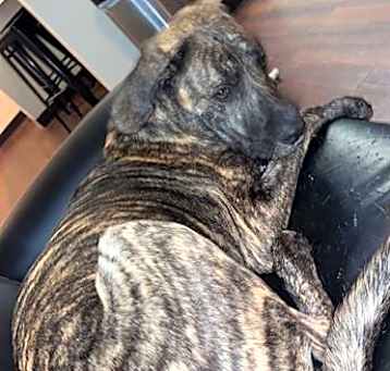 Photo of NYLA