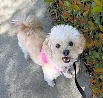 Photo of Millie