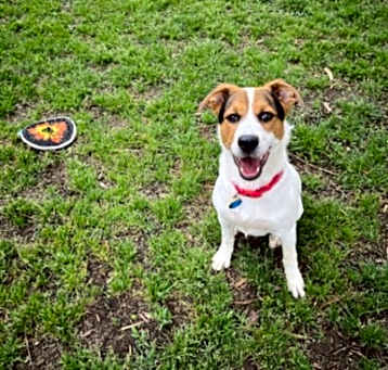 Photo of COOPER