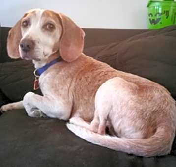 Photo of Lewis 2