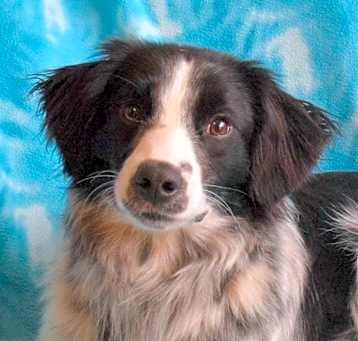 Photo of Zig