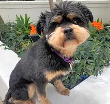 Photo of FINLEY