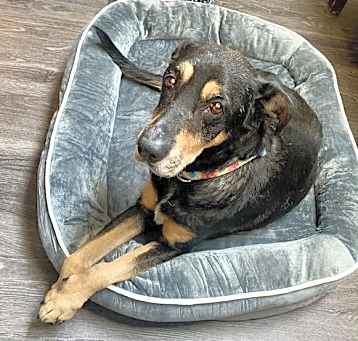 Photo of Addie II