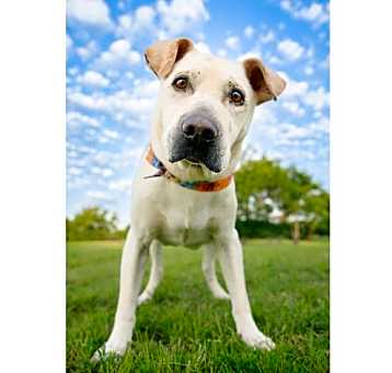 Photo of Tuff II