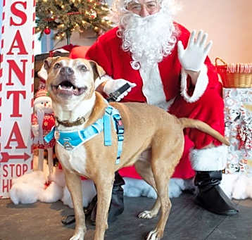 Photo of Nyla Smyla