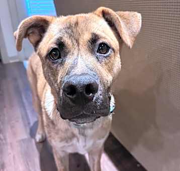 Photo of Wally VI