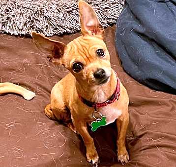 Photo of Winnifred
