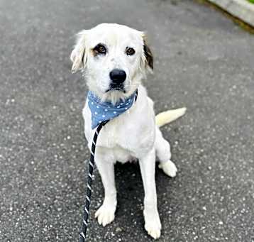 Photo of Echo