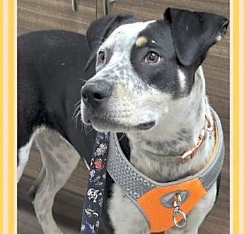 Photo of Sally