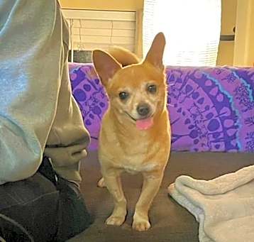 Photo of Tiny